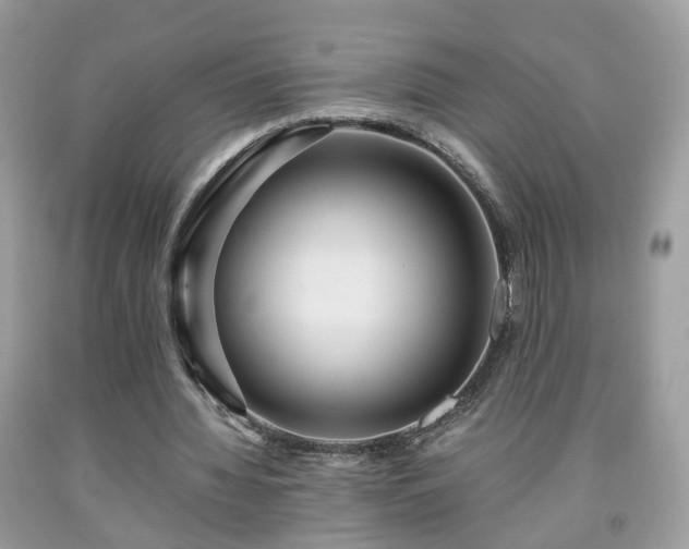 X0000091960436200709131230