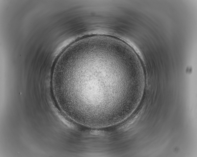 X0000091960437200709131230