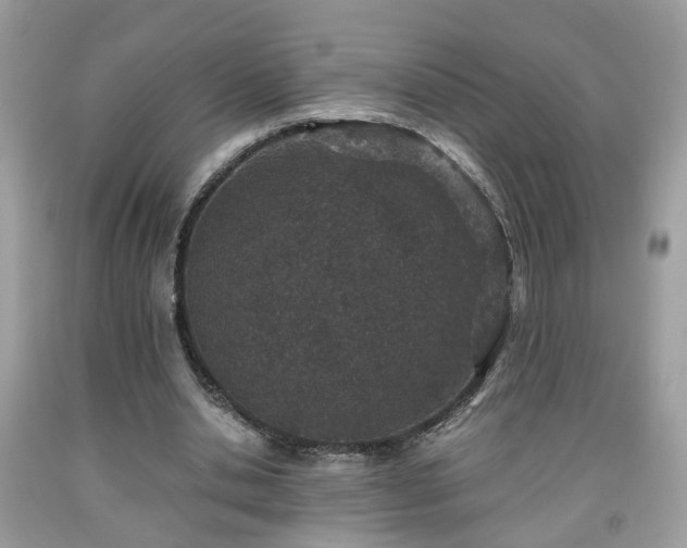 X0000091960438200709131230