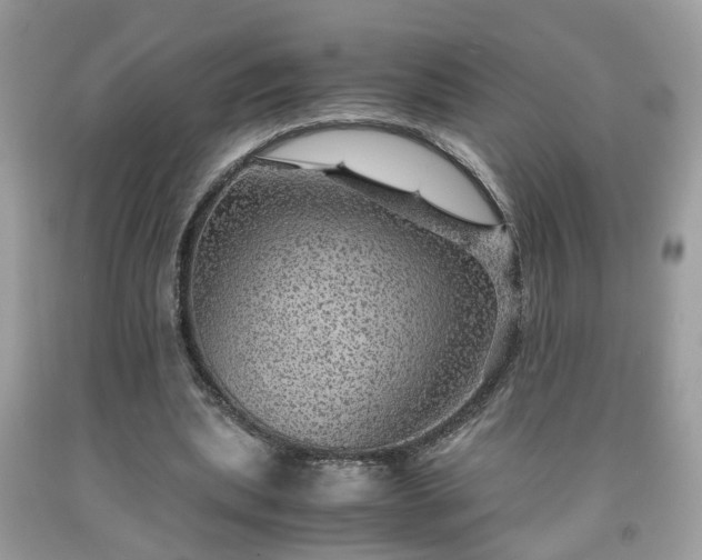 X0000091960439200709131230