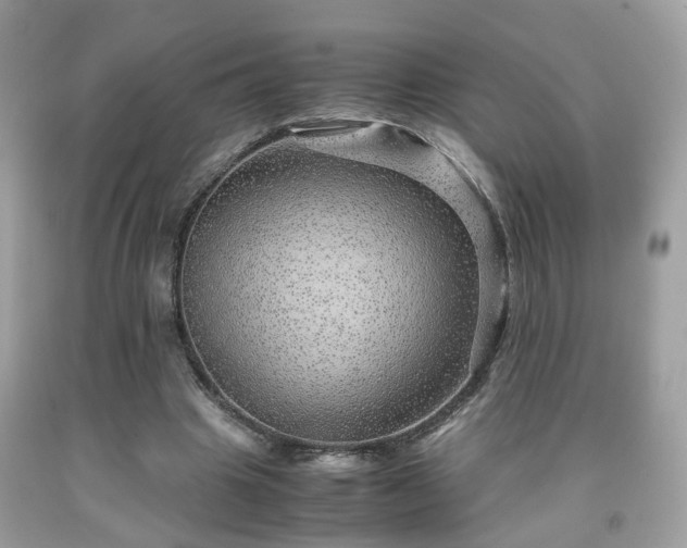 X0000091960441200709131230