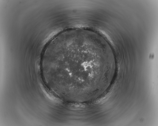 X0000091960443200709131230