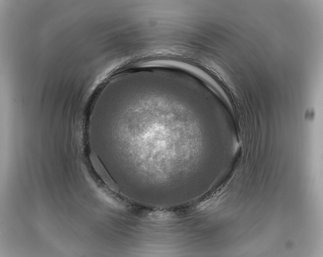 X0000091960444200709131230