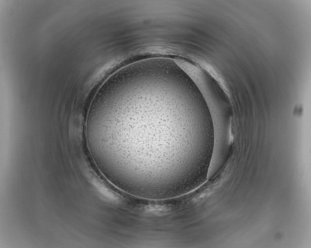 X0000091960445200709131230