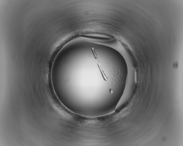 X0000091960446200709131230