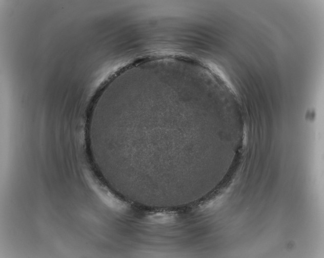 X0000091960447200709131230