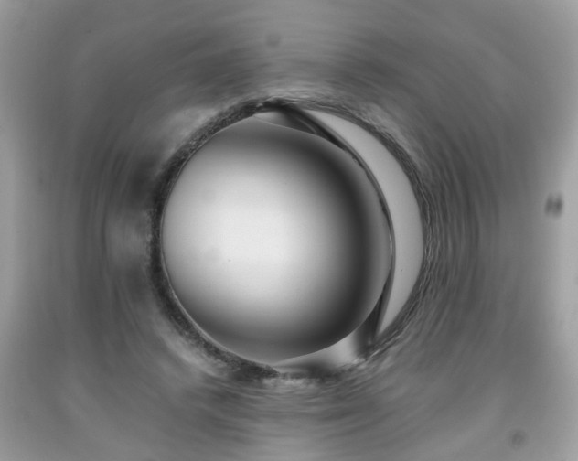 X0000091960448200709131230