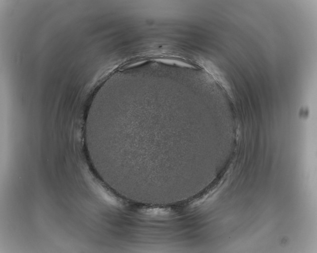 X0000091960449200709131230