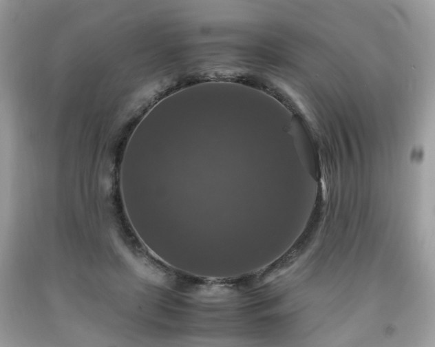 X0000091960451200709131230