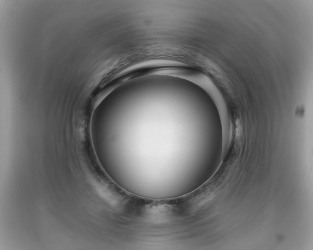 X0000091960452200709131230