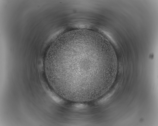 X0000091960453200709131230