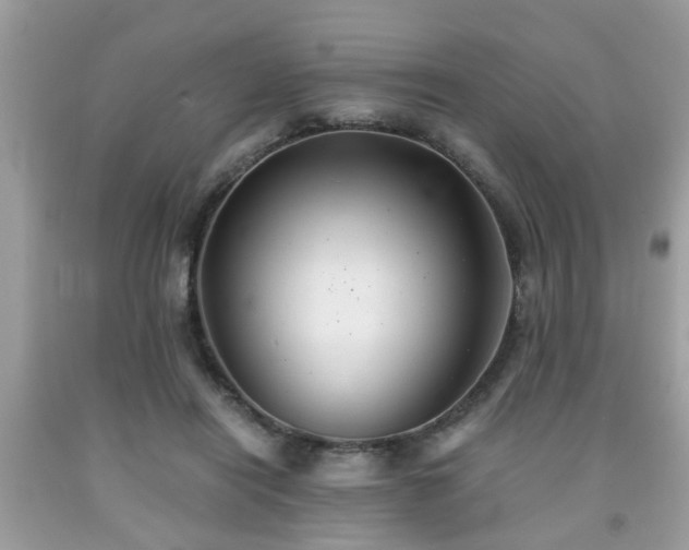 X0000091960454200709131230