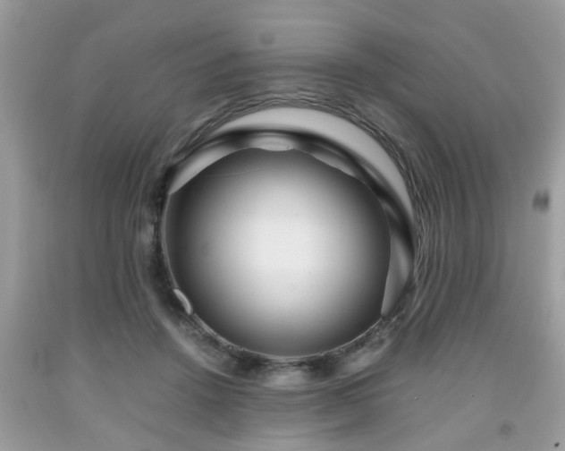 X0000091960456200709131230