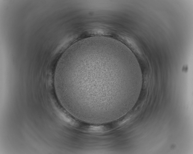 X0000091960457200709131230