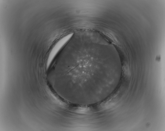 X0000091960458200709131230