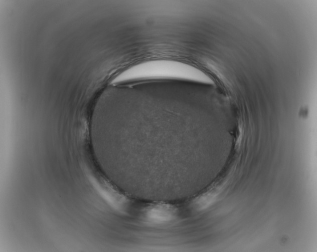 X0000091960459200709131230