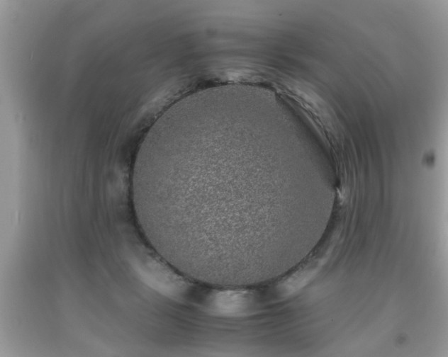 X0000091960461200709131230