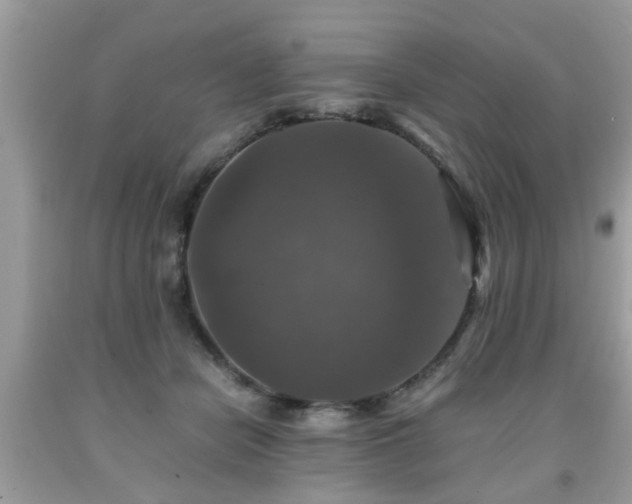 X0000091960462200709131230