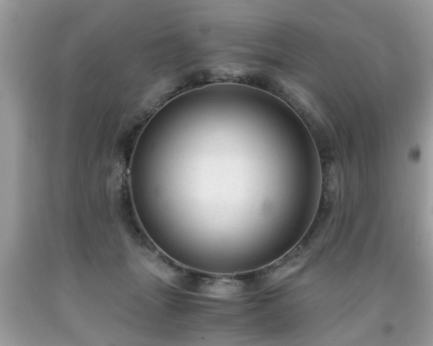 X0000091960463200709131230