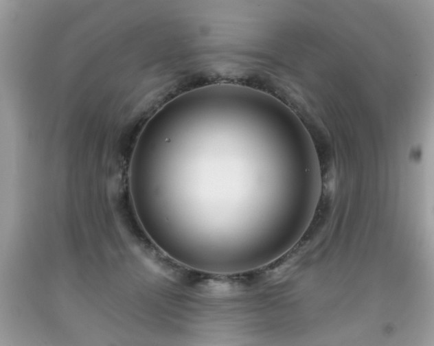 X0000091960464200709131230