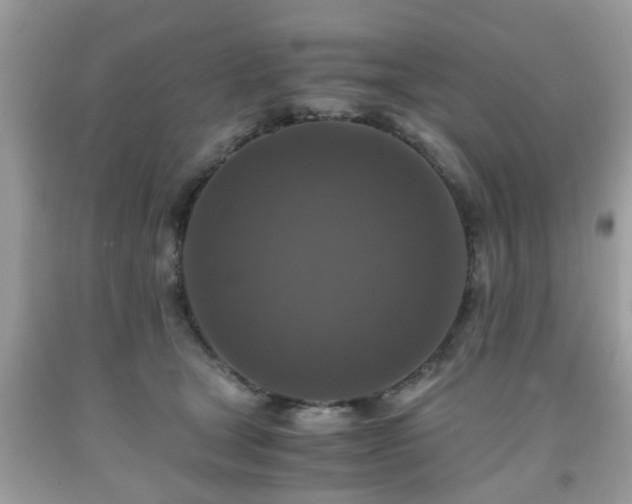 X0000091960465200709131230