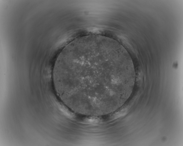 X0000091960466200709131230