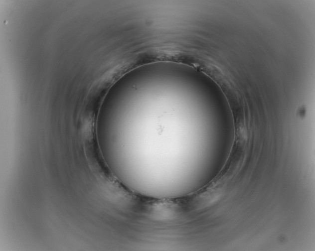 X0000091960468200709131230