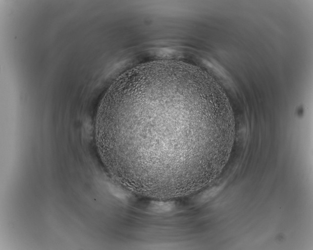 X0000091960469200709131230