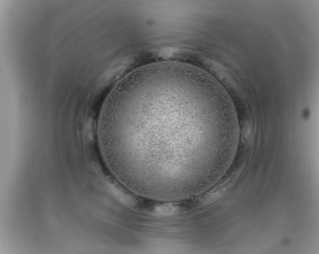 X0000091960470200709131230