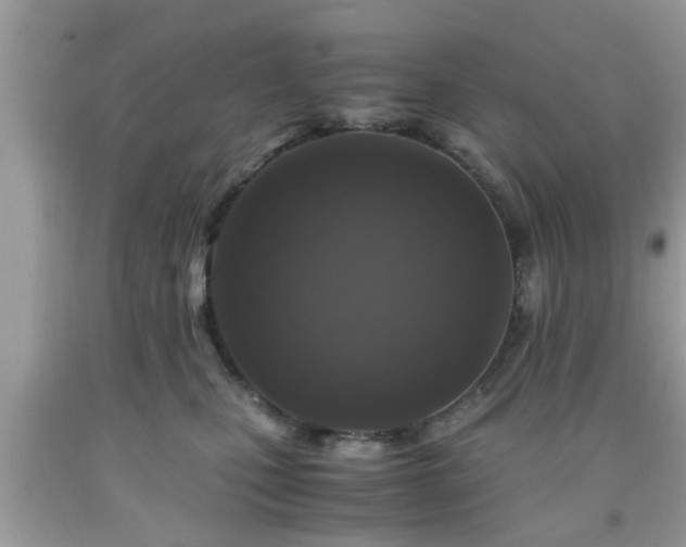 X0000091960471200709131230