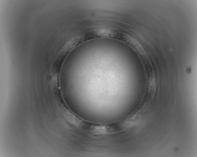 X0000091960473200709131230