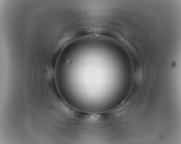 X0000091960474200709131230