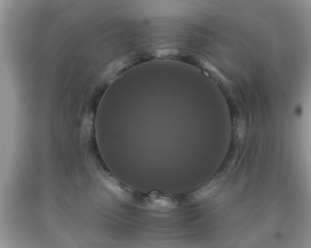 X0000091960475200709131231