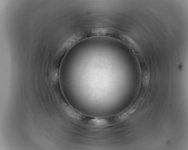 X0000091960477200709131231