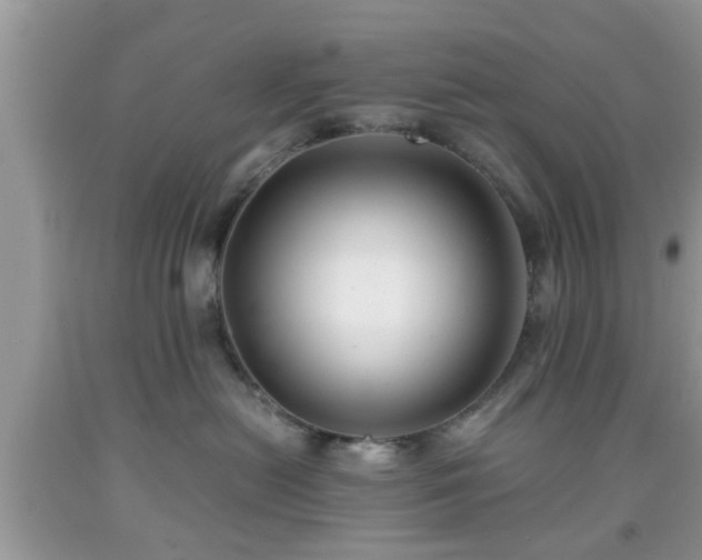 X0000091960478200709131231