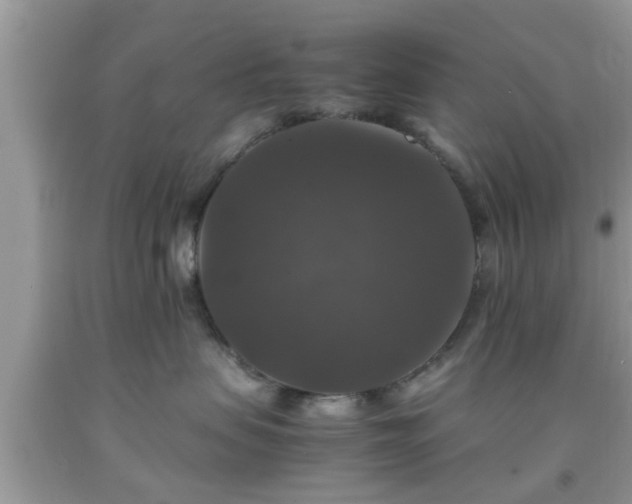 X0000091960479200709131231