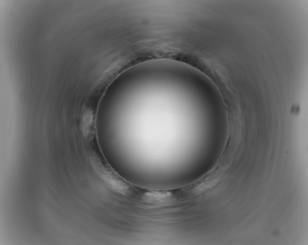 X0000091960480200709131231