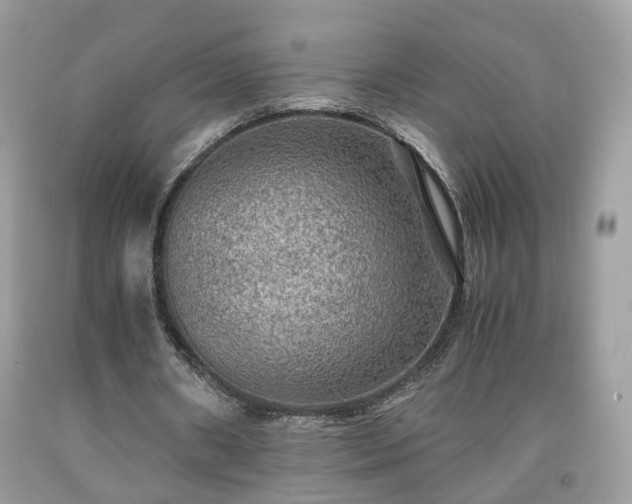 X0000091960482200709131230