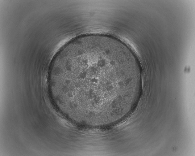 X0000091960483200709131230