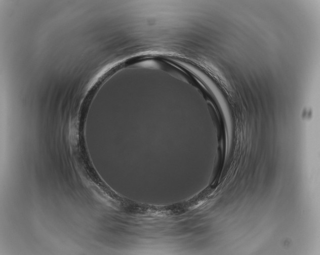 X0000091960484200709131230