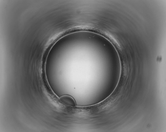 X0000091960486200709131230