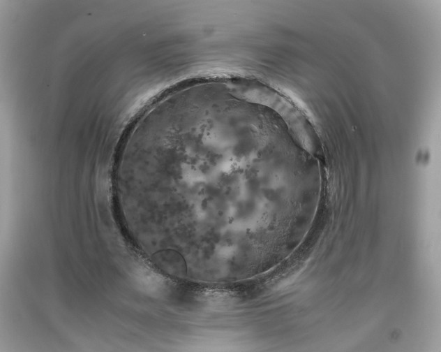 X0000091960487200709131230