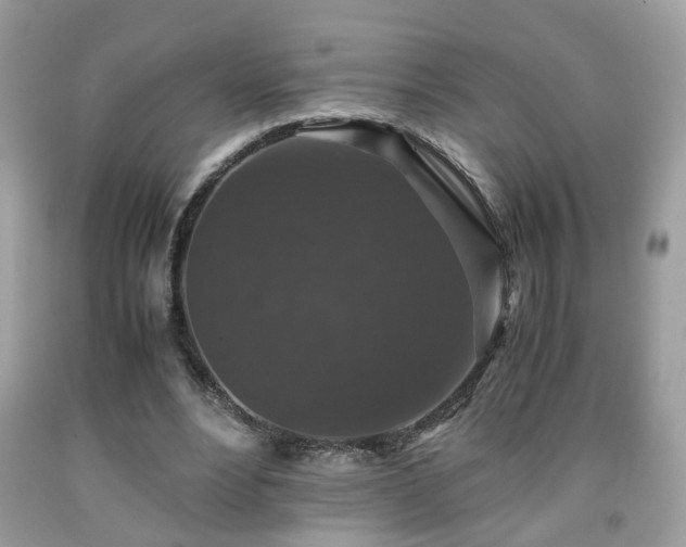 X0000091960488200709131230