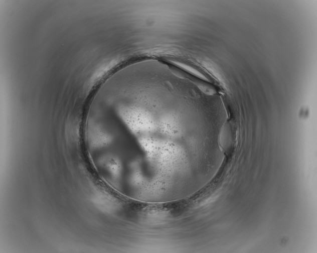 X0000091960491200709131230