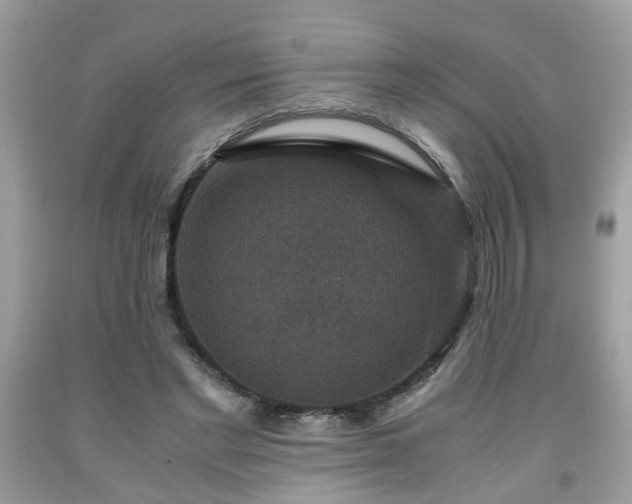 X0000091960493200709131230