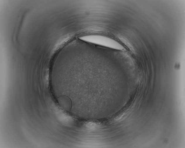 X0000091960494200709131230