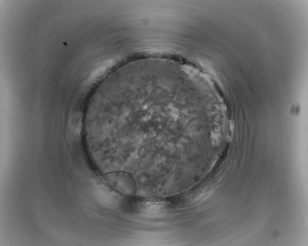 X0000091960495200709131230