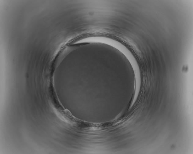 X0000091960496200709131230