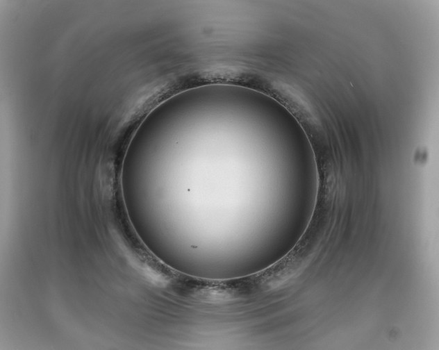 X0000091960498200709131230