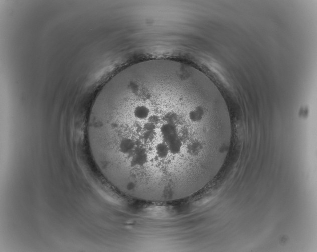 X0000091960499200709131230